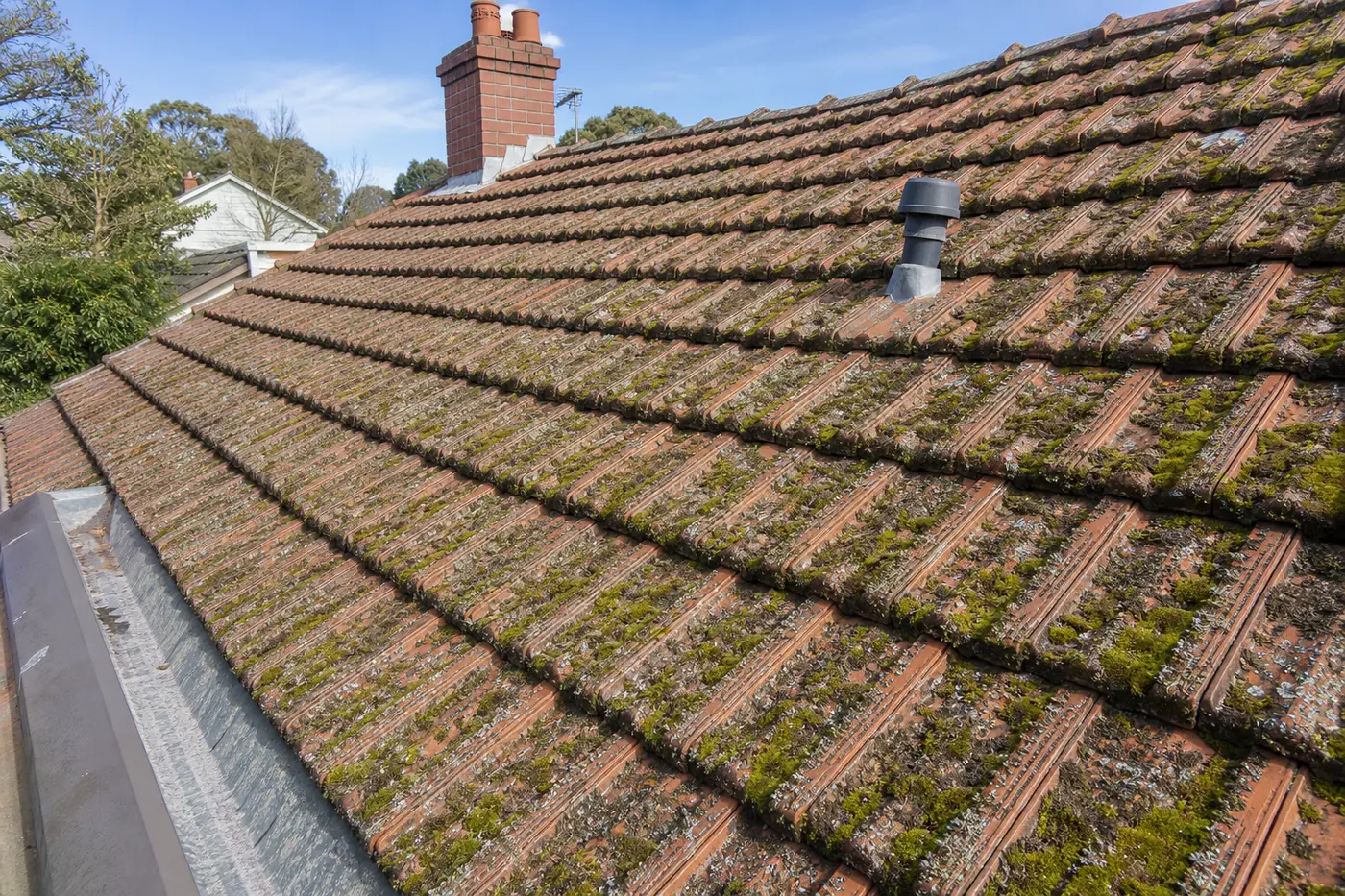 A terracotta tile roof on a Melbourne home with green moss and grey lichen across the shaded south-facing pitch